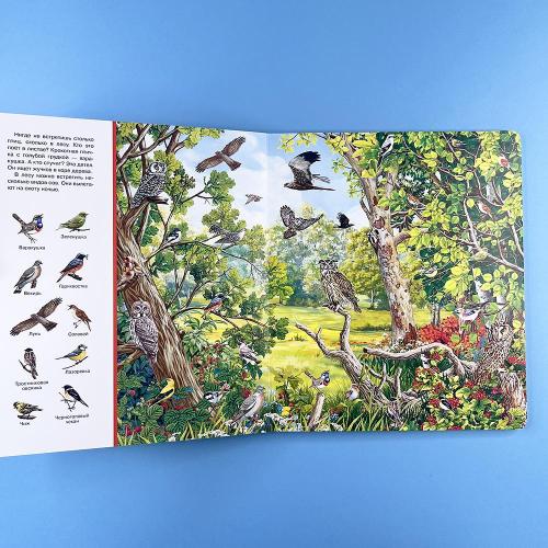 Найди и покажи. Лес