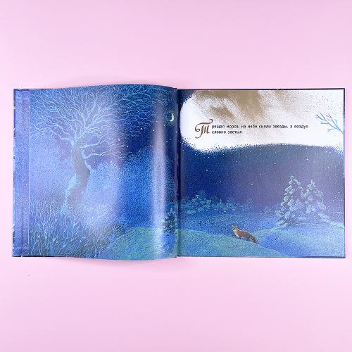 Двенадцать пассажиров (книга с дефектом)