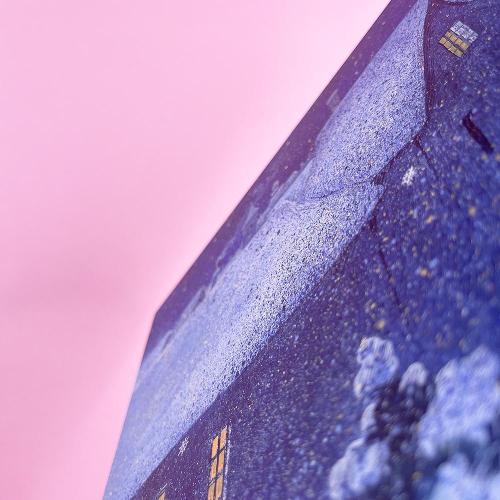 Двенадцать пассажиров (книга с дефектом)