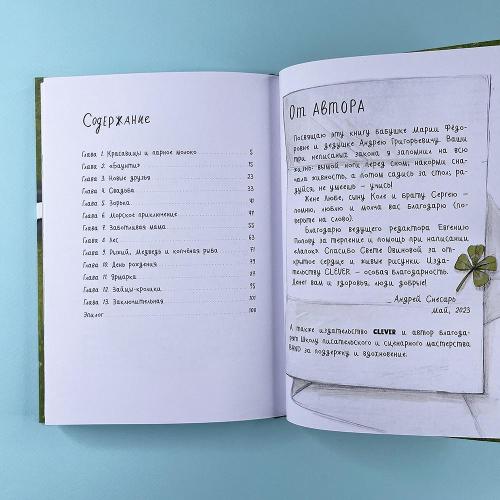 Деревенские приключения. Приключения в Гусиных Лапках