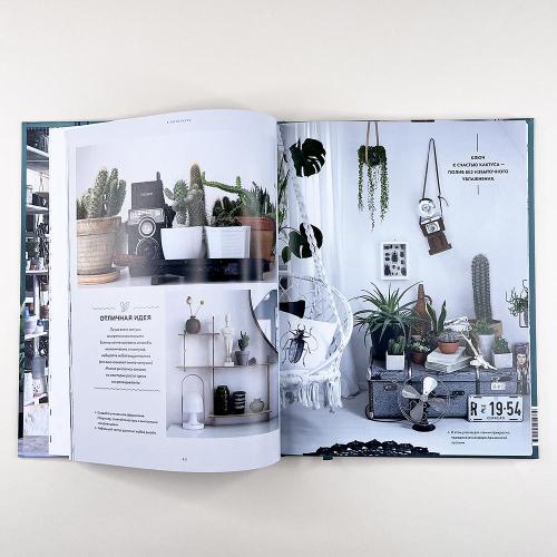 Urban Jungle. Как создать уютный интерьер с помощью растений