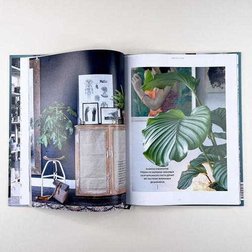 Urban Jungle. Как создать уютный интерьер с помощью растений