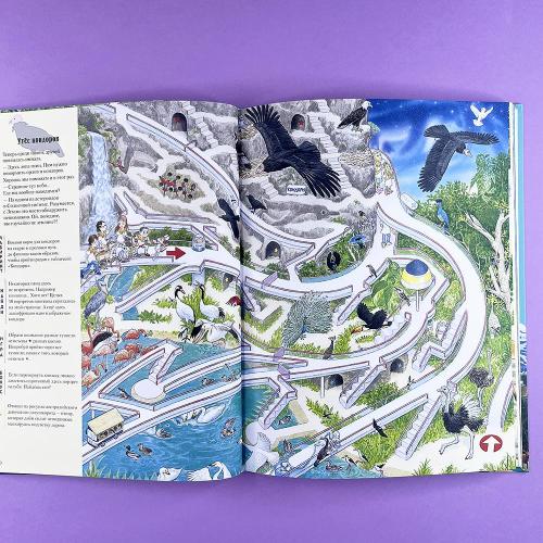 На Земле и в океане. Лабиринты