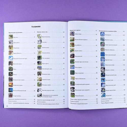 На Земле и в океане. Лабиринты