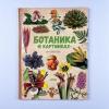Ботаника в картинках