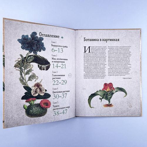 Ботаника в картинках