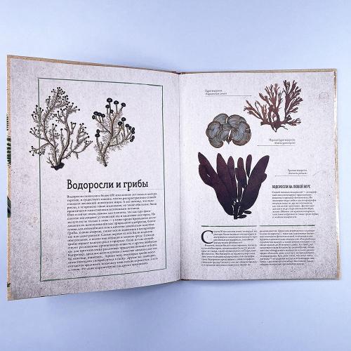 Ботаника в картинках