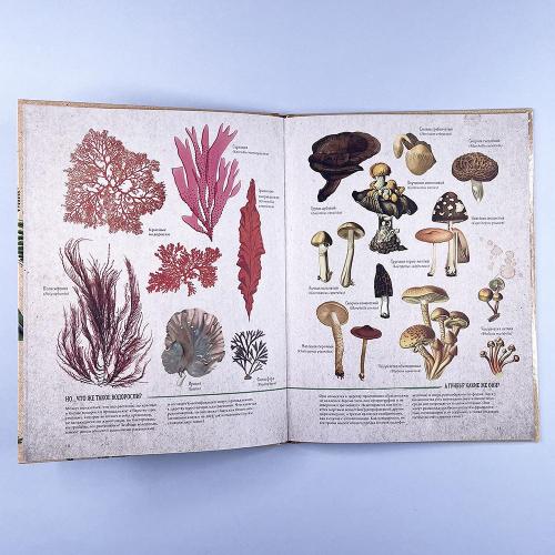 Ботаника в картинках