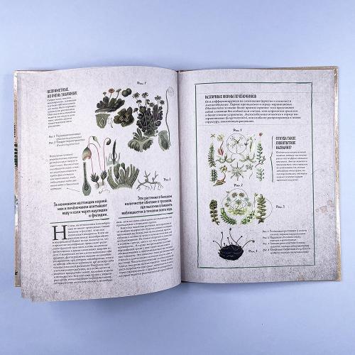 Ботаника в картинках