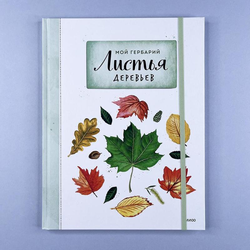 Мой гербарий. Листья деревьев