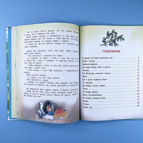 Жили-были Ёжики. Сказочные истории