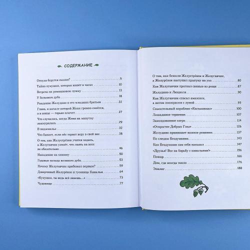 Восемь волшебных желудей, или Приключения Желудино и его младших братьев (книга с дефектом)