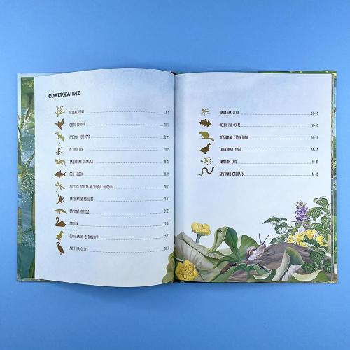 Секреты животных озера