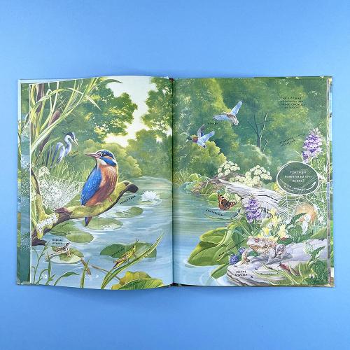 Секреты животных озера