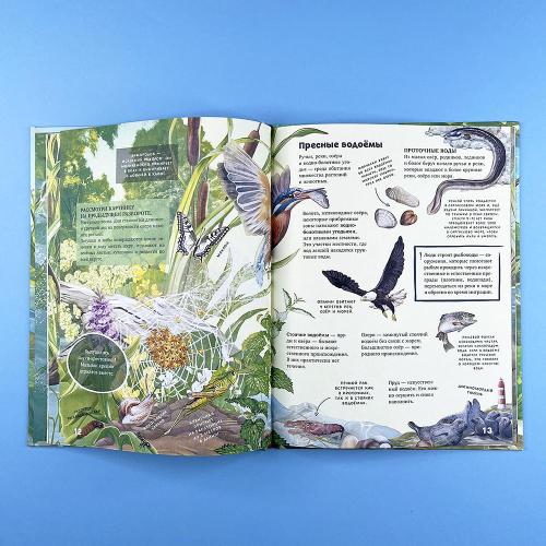 Секреты животных озера