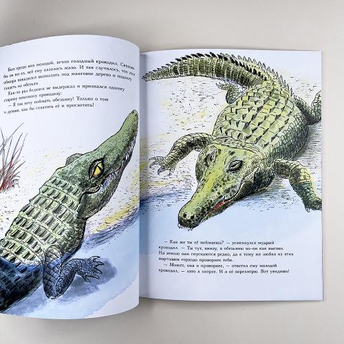 Обезьянка и крокодил