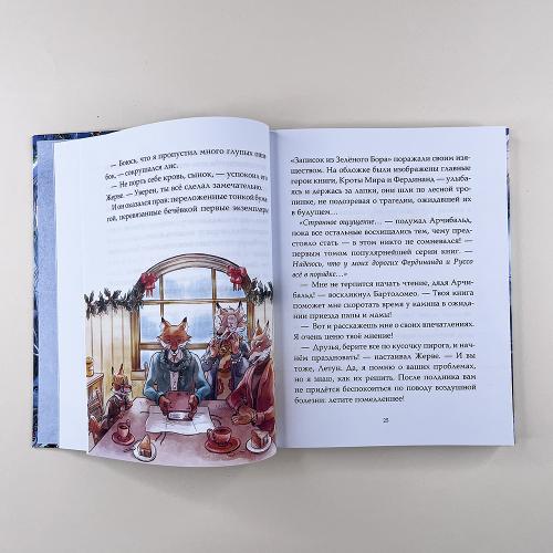 Записки из Зелёного Бора. По следам Духа Зимы