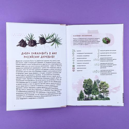 Деревья. Атлас-определитель