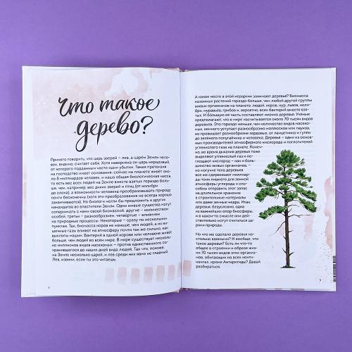 Деревья. Атлас-определитель