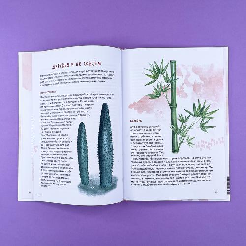 Деревья. Атлас-определитель