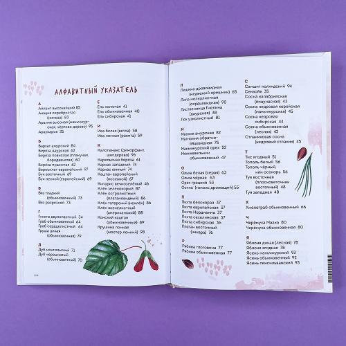 Деревья. Атлас-определитель