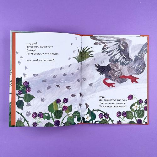 Ноги? Ноги... Ноги!