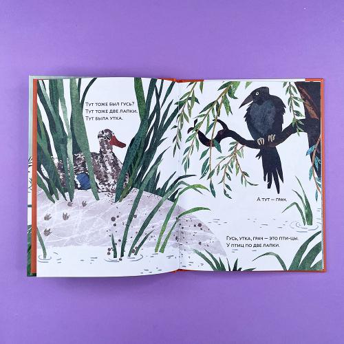 Ноги? Ноги... Ноги!