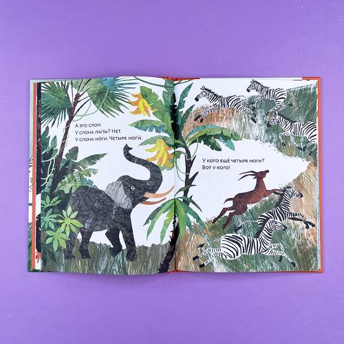 Ноги? Ноги... Ноги!