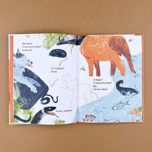 Зубы? Зубы... Зубы!