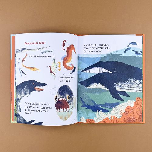 Зубы? Зубы... Зубы!