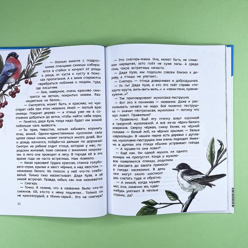 Птицы. Детская энциклопедия