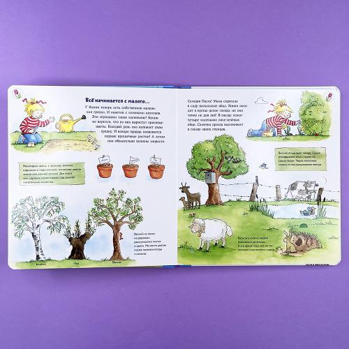 Времена года с Конни (книга с окошками)