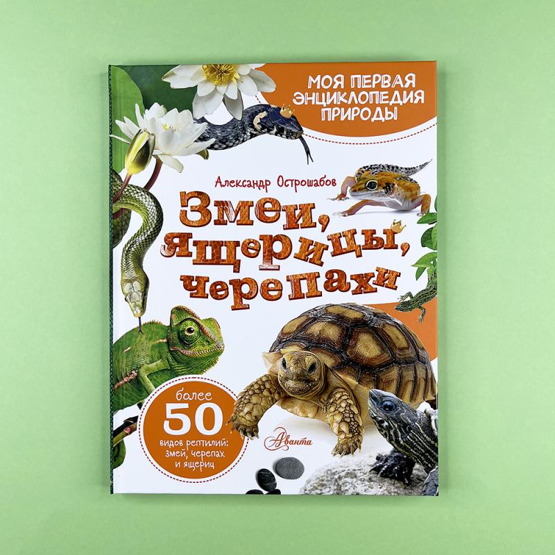 Змеи, ящерицы, черепахи