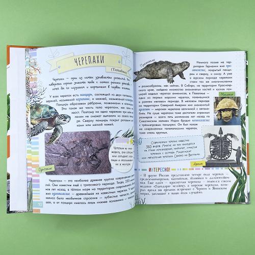 Змеи, ящерицы, черепахи