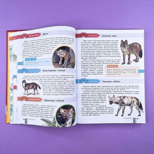 Красная книга мира