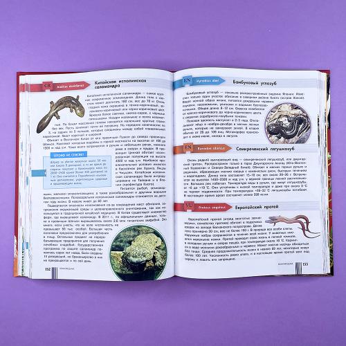 Красная книга мира