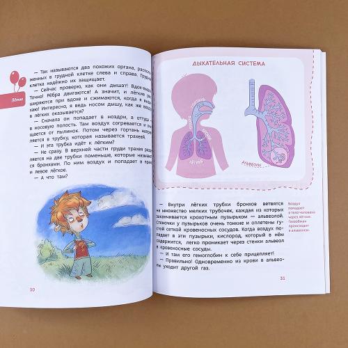 Как устроен человек. Детская энциклопедия