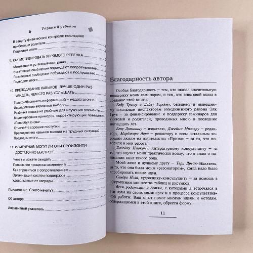 Упрямый ребенок: как установить границы дозволенного
