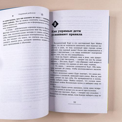 Упрямый ребенок: как установить границы дозволенного