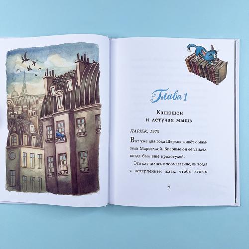 Шерлок Кот. Тайна пропавших мышей