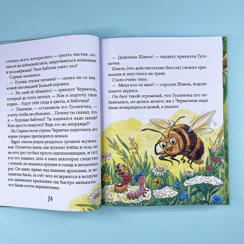 Гусеничка, которая не хотела становиться бабочкой