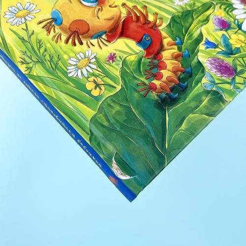 Гусеничка, которая не хотела становиться бабочкой (книга с дефектом)