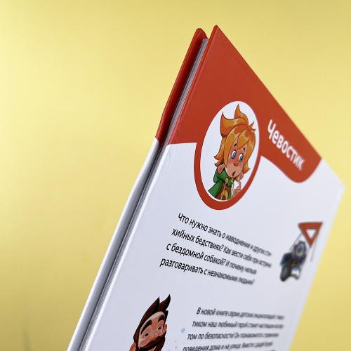 Правила безопасности. Детская энциклопедия (книга с дефектом)