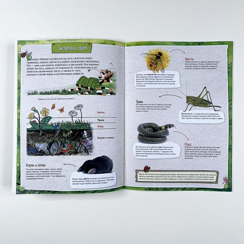 Петсон и Финдус изучают животных (книга с дефектом)