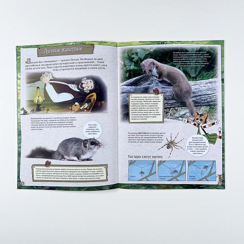 Петсон и Финдус изучают животных (книга с дефектом)