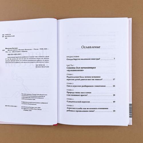 Детская агрессия