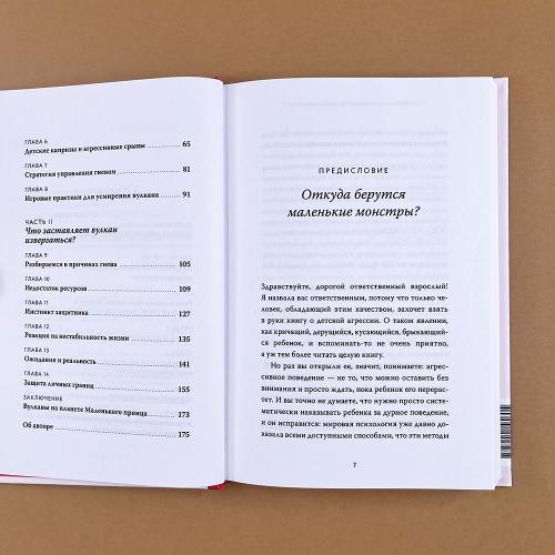 Детская агрессия