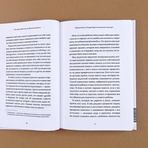 Детская агрессия