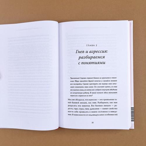 Детская агрессия