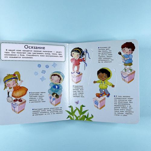 Что? Почему? Зачем? Наши органы чувств (книга с дефектом)